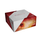 Gamers Guild AZ Orange Nebula Unsettled: 005 Strannos GTS