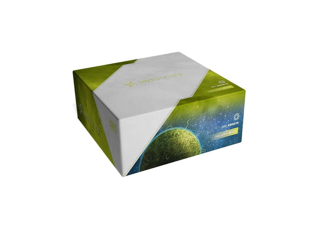 Gamers Guild AZ Orange Nebula Unsettled: 007 Koguya GTS