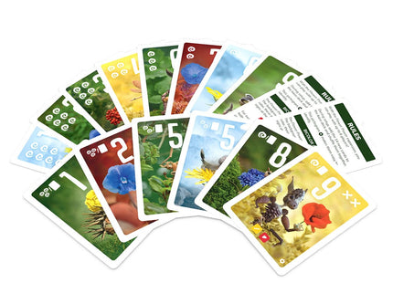 Gamers Guild AZ Pandasaurus Pixies: Flower Power (Pre-Order) Asmodee