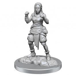 Gamers Guild AZ Pathfinder Pathfinder Battles: Deep Cuts- Half-Elf Monk Female Southern Hobby