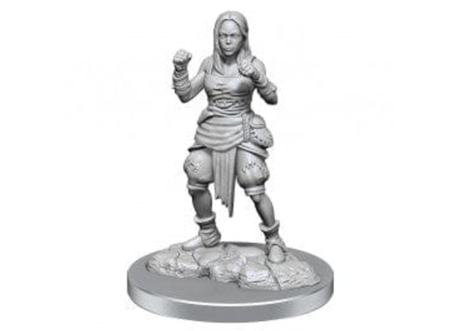 Gamers Guild AZ Pathfinder Pathfinder Battles: Deep Cuts- Half-Elf Monk Female Southern Hobby
