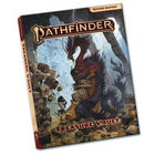 Gamers Guild AZ Pathfinder Pathfinder, Second Edition : Treasure Vault Codex - Pocket Edition Southern Hobby
