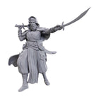 Gamers Guild AZ Pathfinder WIZ90712 Pathfinder Minis: Desert Giant (Pre-order) GTS