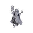 Gamers Guild AZ Pathfinder WIZ90722 Pathfinder Minis: Fearne Calloway And Mister (Pre-Order) GTS