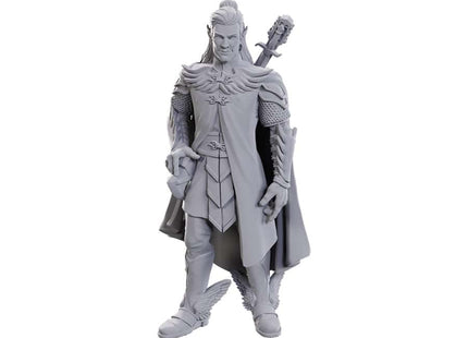 Gamers Guild AZ Pathfinder WIZ90723 Pathfinder Minis:  Dorian Storm (Pre-Order) GTS