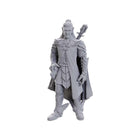 Gamers Guild AZ Pathfinder WIZ90723 Pathfinder Minis:  Dorian Storm (Pre-Order) GTS