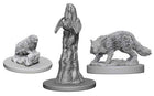 Gamers Guild AZ Pathfinder WZK72580 Pathfinder Minis: Deep Cuts Wave 1- Familiars Southern Hobby