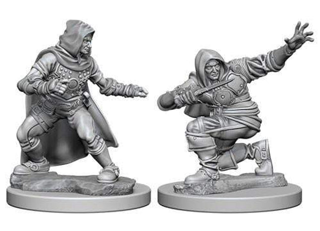 Gamers Guild AZ Pathfinder WZK72602 Pathfinder Minis: Deep Cuts Wave 1- Human Male Rogue Southern Hobby