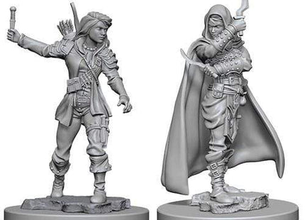 Gamers Guild AZ Pathfinder WZK72603 Pathfinder Minis: Deep Cuts Wave 1- Human Female Rogue Southern Hobby