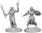 Gamers Guild AZ Pathfinder WZK72606 Pathfinder Minis: Deep Cuts Wave 1- Elf Female Sorcerer Southern Hobby