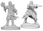 Gamers Guild AZ Pathfinder WZK73411 Pathfinder Minis: Deep Cuts Wave 6- Male Human Wizard Southern Hobby