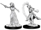 Gamers Guild AZ Pathfinder WZK73412 Pathfinder Minis: Deep Cuts Wave 6- Female Human Wizard Southern Hobby