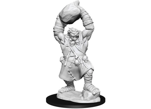 Gamers Guild AZ Pathfinder WZK90041 Pathfinder Minis: Deep Cuts Wave 11- Ogre Southern Hobby