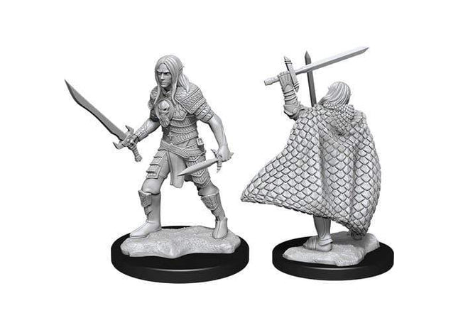 Gamers Guild AZ Pathfinder WZK90169 Pathfinder Minis: Wave 13 - Elf Fighter Male Southern Hobby