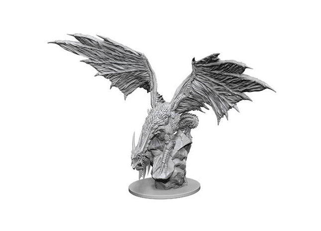 Gamers Guild AZ Pathfinder WZK90192 Pathfinder Minis: Deep Cuts Wave 12.5- Silver Dragon Southern Hobby