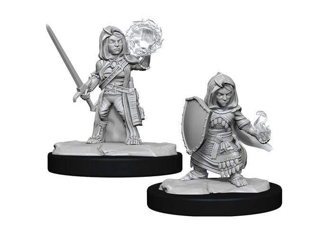 Gamers Guild AZ Pathfinder WZK90261 Pathfinder Minis: Deepcuts Wave 14- Halfling Cleric Female Southern Hobby