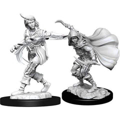 Gamers Guild AZ Pathfinder WZK90269 Pathfinder Minis: Deepcuts Wave 14- Human Rogue Female Southern Hobby