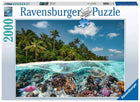 Gamers Guild AZ Ravensburger Ravensburger: 2000 PCS Puzzle -  A Dive in the Maldives Gamers Guild AZ