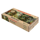 Gamers Guild AZ Sirius Dice Dungeons & Dragons Wooden Dice Vault (Pre-Order) ACD Distribution