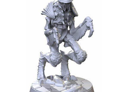 Gamers Guild AZ Starfinder Starfinder Masterclass Miniatures: Wrikreechee Creature GTS