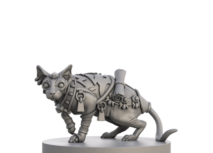 Gamers Guild AZ Steamforged Games Animal Adventures RPG: Tales of Cats & Catacombs - Questing Tooth & Claw Volume 1 Southern Hobby