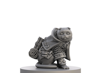 Gamers Guild AZ Steamforged Games Animal Adventures RPG: Tales of Cats & Catacombs - Questing Tooth & Claw Volume 1 Southern Hobby