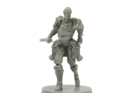 Gamers Guild AZ Steamforged Games Dark Souls: The RPG Miniatures - Alonne Knights (Pre-Order) Southern Hobby