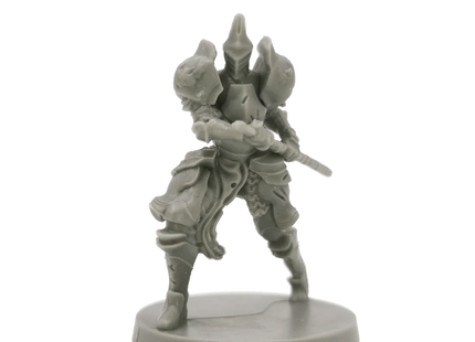 Gamers Guild AZ Steamforged Games Dark Souls: The RPG Miniatures - Captains & Warriors (Pre-Order) Southern Hobby