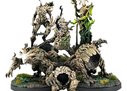 Gamers Guild AZ Steamforged Games Epic Encounters: Forest of the Damned (Pre-Order) ACD Distribution