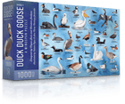 Gamers Guild AZ Stonemaier Games Wingspan Jigsaw Puzzles: Duck Duck Goose (1000pc) Stonemaier Games