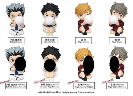 Gamers Guild AZ Takaratomy A.R.T.S Haikyu!! Perihapi Hide & Seek Fukurodani Academy & Inarizaki High Blind Box JBK International
