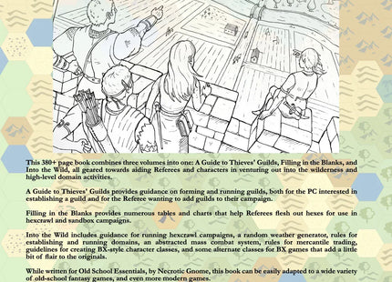 Gamers Guild AZ Third Kingdom Games Into the Wild: Omnibus Edition (Pre-Order) Quartermaster Direct