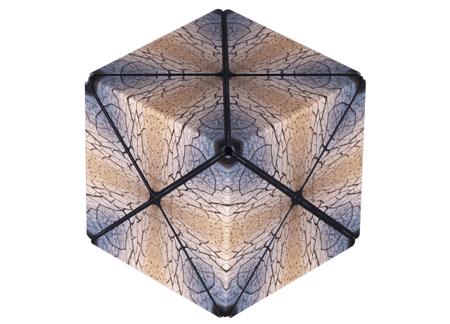 Gamers Guild AZ Toys Shashibo Shape Shifting Box -Dutomoto: Parched Fun In Motion