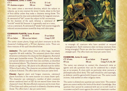 Gamers Guild AZ Troll Lord Games Castles & Crusades: Player's Handbook (Pre-Order) ACD Distribution