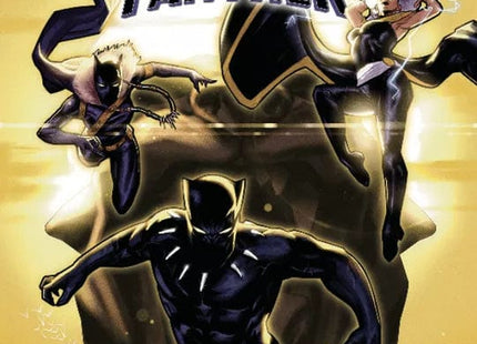 Gamers Guild AZ Upper Deck Entertainment Legendary - Black Panther: A Marvel Deck / Bag / Pool Building Game GTS