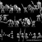 Gamers Guild AZ Warmachine Warmachine: Cygnar: Storm Legion Core Army Starter (Mk IV) GTS