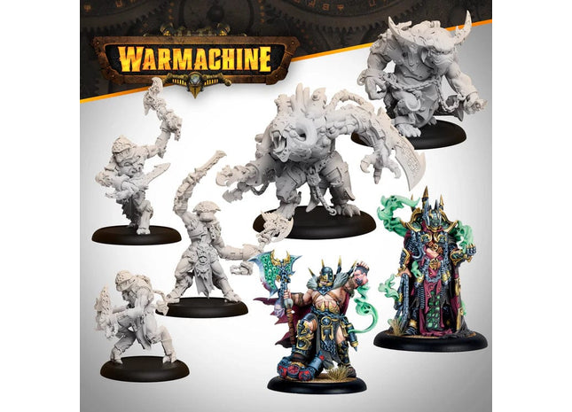 Gamers Guild AZ Warmachine Warmachine: Orgoth Cursebound Command Cadre AGD