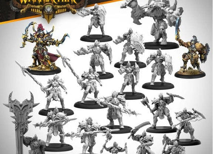 Gamers Guild AZ Warmachine Warmachine: Orgoth - Sea Raiders Core Expansion (Pre-Order) AGD