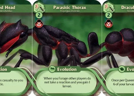 Gamers Guild AZ Weird City Games March of the Ants: Evolved Edition (Pre-Order) GTS