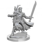 Gamers Guild AZ WizKids D&D Frameworks - Half-Elf Ranger Southern Hobby