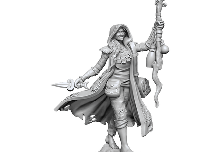 Gamers Guild AZ WizKids D&D Frameworks - Human Druid (Female) GTS