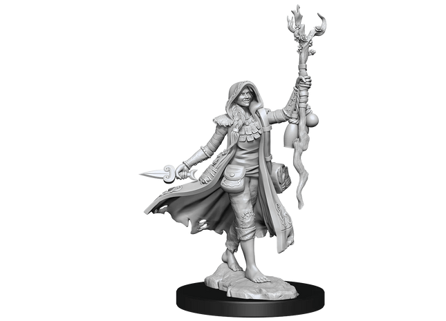 Gamers Guild AZ WizKids D&D Frameworks - Human Druid (Female) GTS