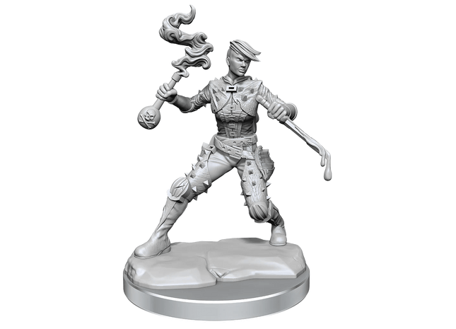 Gamers Guild AZ WizKids D&D Frameworks - Human Rogue (Female) GTS