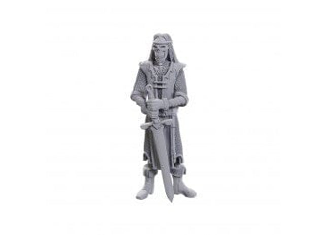 Gamers Guild AZ WizKids D&D Nolzur's Marvelous Miniatures: Limited Edition 50th Anniversary - Skeleton Knights Southern Hobby