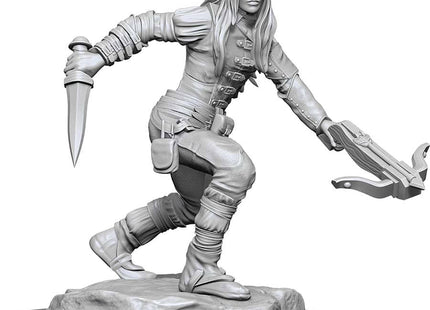 Gamers Guild AZ WizKids D&D Nolzur's Marvelous Miniatures: W17 Female Half-Elf Rogue GTS