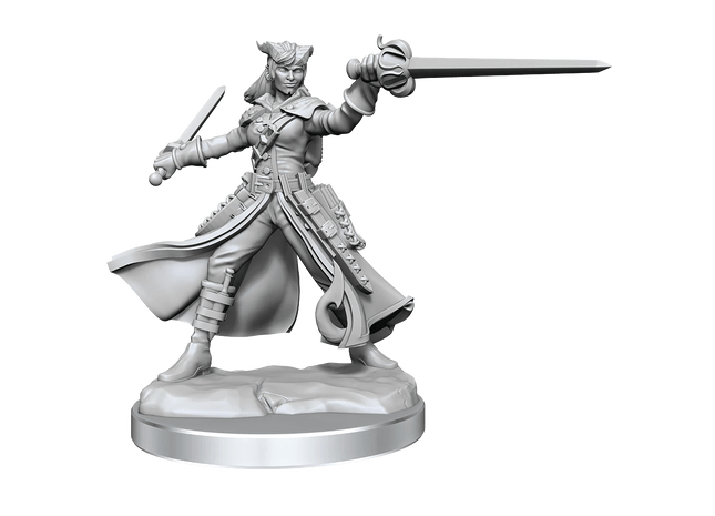 Gamers Guild AZ WizKids Dungeons And Dragons: Frameworks: W1 Female Tiefling Rogue GTS