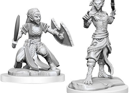 Gamers Guild AZ WizKids Dungeons And Dragons Nolzur's Marvelous Miniatures: W20 Shifter Fighter GTS