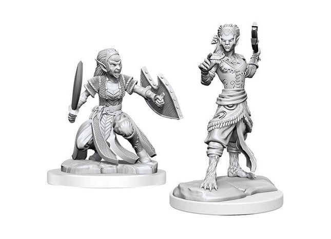 Gamers Guild AZ WizKids Dungeons And Dragons Nolzur's Marvelous Miniatures: W20 Shifter Fighter GTS