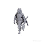 Gamers Guild AZ WizKids Dungeons And Dragons Nolzur'S Marvelous Miniatures: W25 Dragonborn Of Tiamat (Pre-Order) GTS