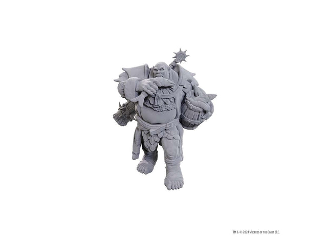 Gamers Guild AZ WizKids Dungeons And Dragons Nolzur'S Marvelous Miniatures: W25 Ogre Soldier (Pre-Order) GTS